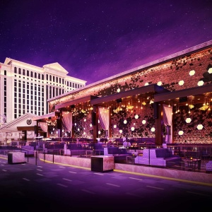 Thursdays on the Terrace - Halloween Weekend